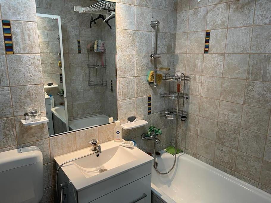 Apartament Cu Un Dormitor / One Bedroom Apartment Satu Mare Eksteriør billede