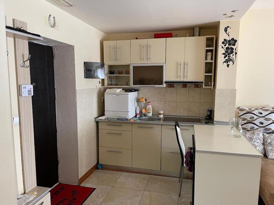 Apartament Cu Un Dormitor / One Bedroom Apartment Satu Mare Eksteriør billede